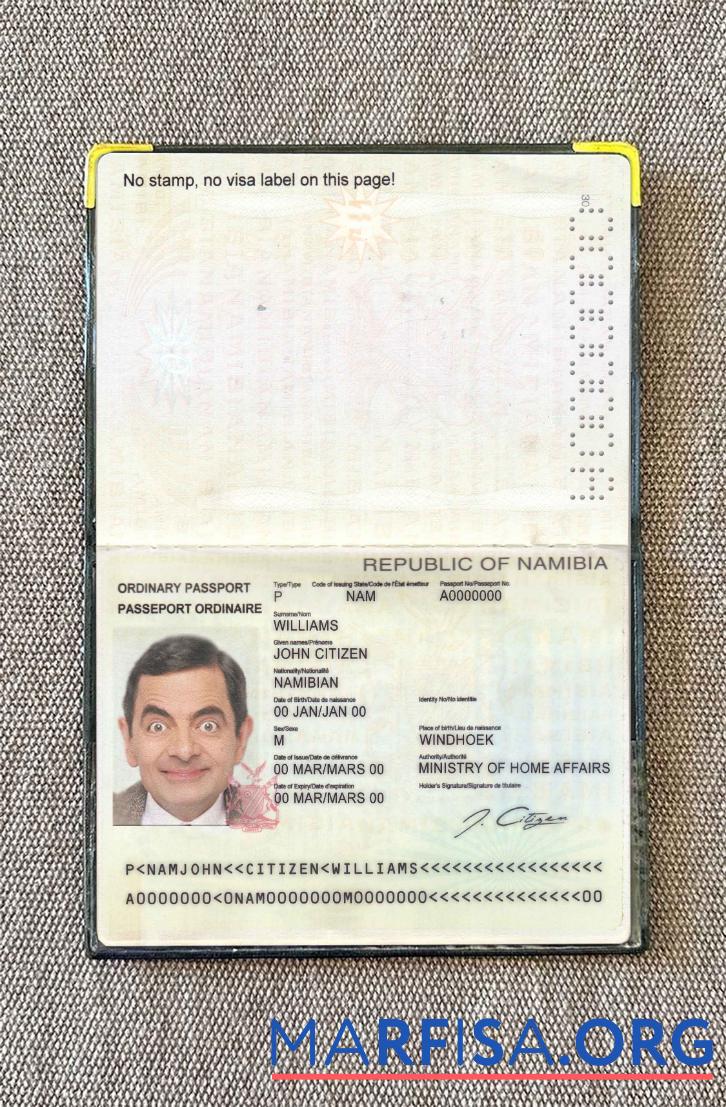 Blank Namibia pass photo look example